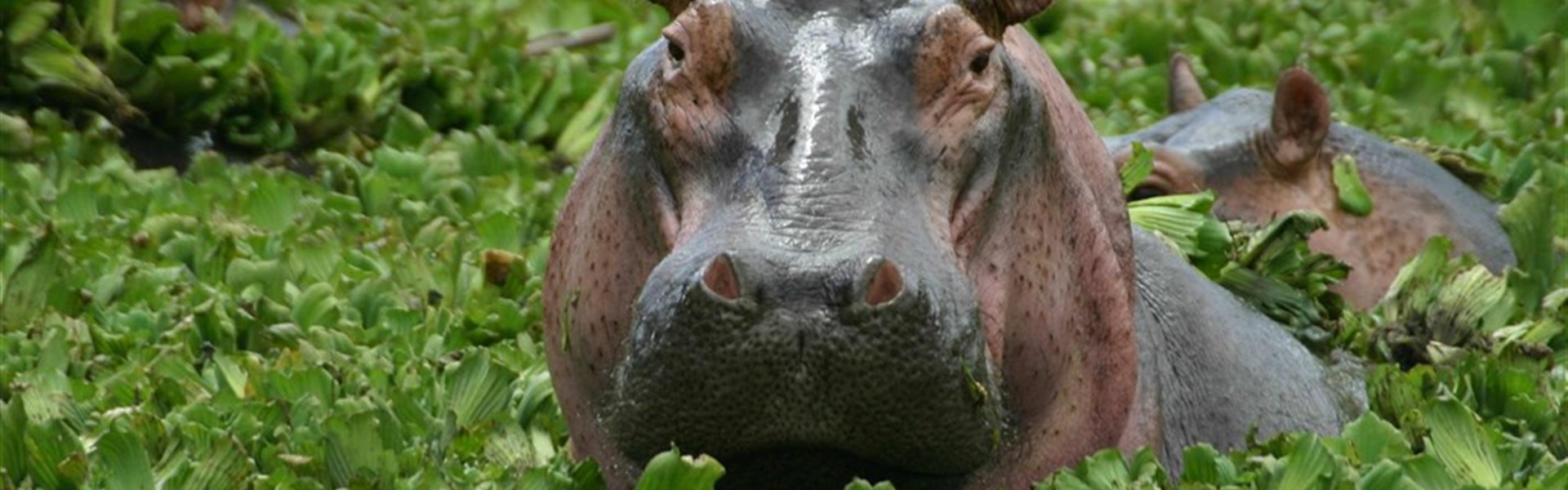 Safari v srdci Východní Afriky - kombinace Keňa a Tanzanie - Tanzanie_Ngorongoro