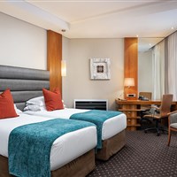 Premier Hotel O.R.Tambo - Pokoj standard (twin) - ckmarcopolo.cz