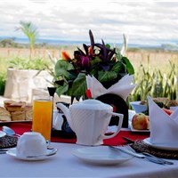 Zebra Plains Mara Camp 4* plus - Keňa_Masai Mara_Zebra Plains - ckmarcopolo.cz