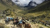 Peru: Salkantay trek a krátký Inca Trail