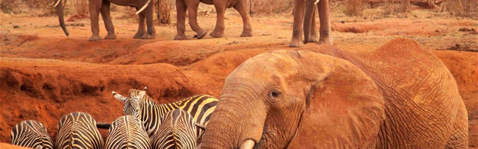 Safari v krajině červených slonů - Kena-Tsavo-East-