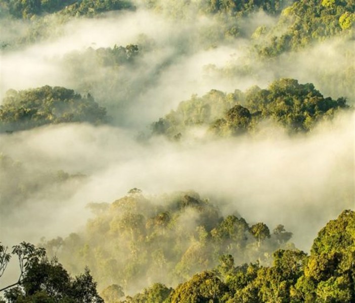 Rwanda - Skrytý klenot Afriky