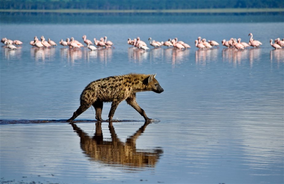 Po stopách lvů - safari v parcích Amboseli a Tsavo East + pobyt u moře