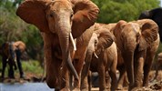 Po stopách lvů - safari v parcích Amboseli a Tsavo East + pobyt u moře