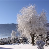 Hotel Sonnleitn (W) - ckmarcopolo.cz